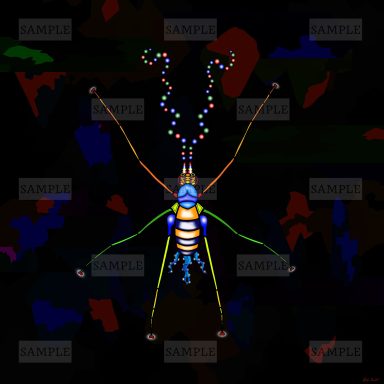 54-4. Cave Cricket